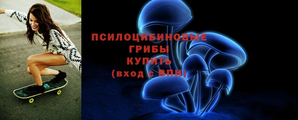 a pvp Богородск