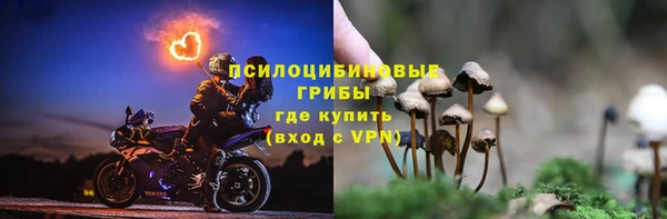 кристаллы Богданович