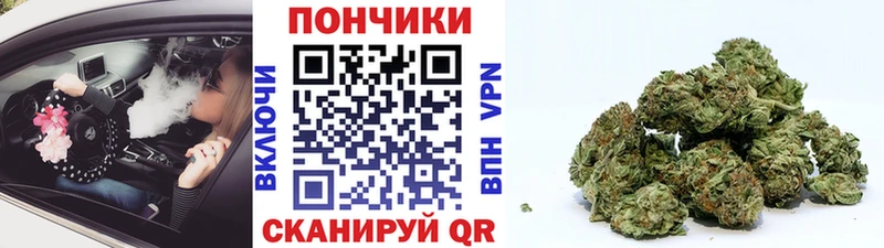 Марихуана план  Качканар 